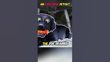 It’s Said a Dog Once Fetched Dynamite… Truth or Myth? #physics #mythbusters