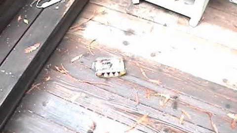 TrakBot Track Driven Robot Does Its Thing