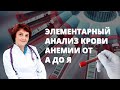 Элементарный анализ крови. Анемия от А до Я.