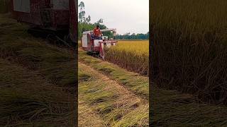 Aadhunik Dhan Kata Machine