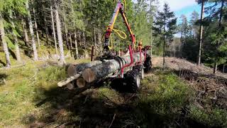 ATV Logging: Pulling Out a Birch Windfall
