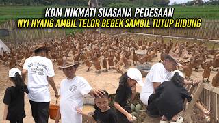 KDM NIKMATI SUASANA PEDESAAN | NYI HYANG AMBIL TELOR BEBEK SAMBIL TUTUP HIDUNG