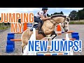 I HAVE NEW SHOWJUMPS!! ~ Unpacking my Polyjumps and jumping Bear over them for the first time