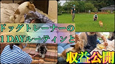 Cm ネクスガード 犬 Youtube Cm ネクスガード 犬 Youtube
