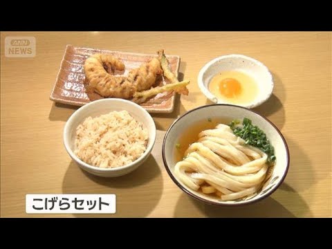 一人で調理＆接客“匠の技”　巨大ゲソ天＆うどん格安600円【グッド！いちおし】【グッド！モーニング】(2025年9月6日)