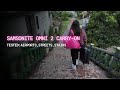 Samsonite Omni 2 Carry-On Review: Real Travel Test!