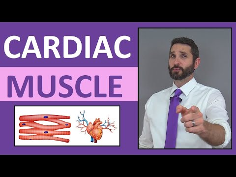 Cardiac Muscle Tissue Anatomy & Physiology Review Lecture