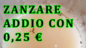 Cosa mettere sulla pelle contro le zanzare?