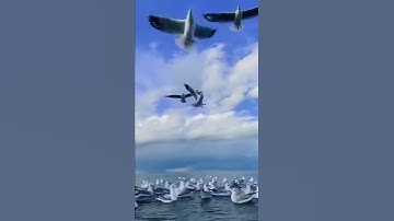وَمَا أَرْسَلْنَاكَ إِلَّا رَحْمَةً لِّلْعَالَمِينَ تلاوة القارئ رعد الكردي