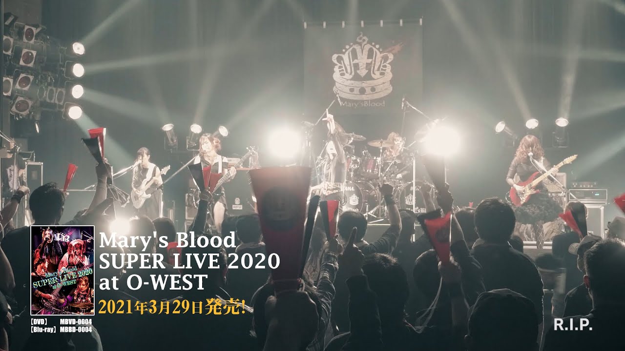 Песня кровь в жилах. Super Live. Перевод песни Blood Mary. Автор песни Blood Mary.