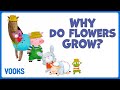 Why Do Flowers Grow?