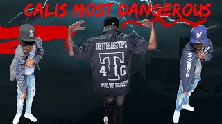 Who are the 43 Gangster Crips|The wild story of one of the oldest and ruthless gangs in Los Angeles