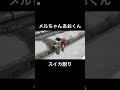【メルちゃんあおくん】スイカ割り