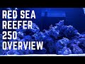 My Red Sea Reefer 250 | Reef Overview