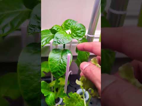 After One Month