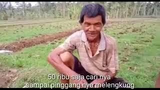 Boro Boro 2 juta