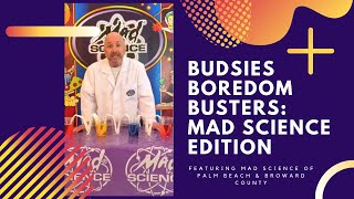 Mad Science FREE Kid's Activity | Budsies Boredom Busters