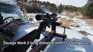 Savage Mark II Long Range with CCI Stinger 22