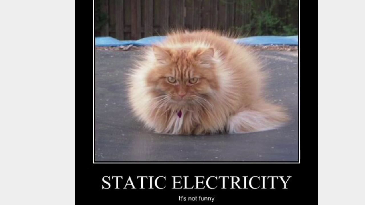 Can Volts or Amps Kill You? 