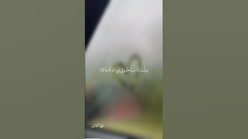 سورة النصر #تلاوات #اكسبلور #المصحف