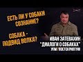 Иван Затевахин. "Диалоги о собаках" на канале "Лаборатория Научных Видео". Серия №1