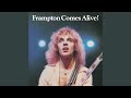 Peter Frampton - Frampton Comes Alive! II