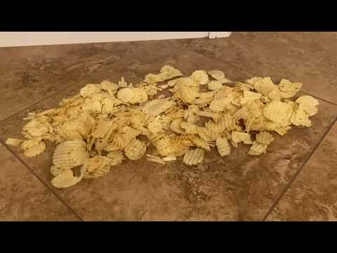 Barefoot Food Crushing ASMR