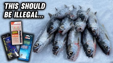 How To JIG for Kokanee Salmon in Open Water and Ice (Insanely Effective)