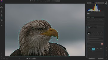 The Line Mask Tool is Back