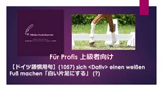 洋書(ドイツ語)Funktionen des Fiktiven 洋書(ドイツ語)Funktionen des Fiktiven 洋書(ドイツ語