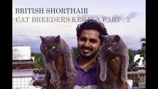 BRITISH SHORTHAIR MALAYALAM || കേരളത്തിലെ ആദ്യത്തെ Detailed Vedio|| Cat Breeders  part 3