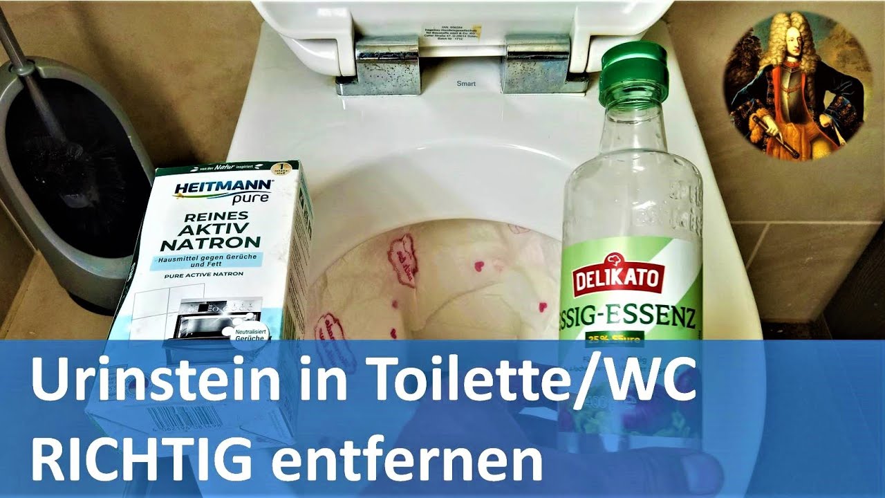 Was Hilft Gegen Urinstein Unter Der Klobrille Urinstein in Toilette / WC RICHTIG entfernen - YouTube
