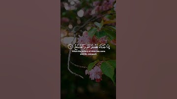 سورة النصر | مشاري بن راشد العفاسي