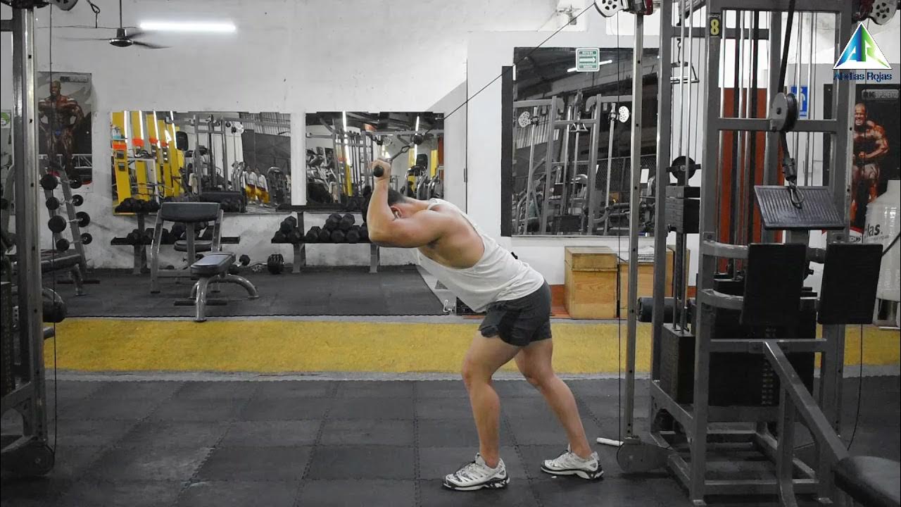 Extensión de tríceps con barra en polea alta por encima de la cabeza