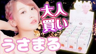 【箱買いレビュー】うさまるがかわいすぎたので大人買いしました。【PUTITTO うさまる2】