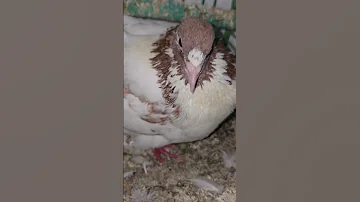 ٢ أكتو بر ٢٠٢٤ 