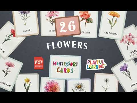 🌟 NEW! Download & Print Flowers Montessori Flash Cards 🌸🌺 | Fun & Educational for Kids