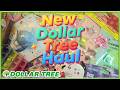 NEW Dollar Tree Haul: Adorable items! 🧸