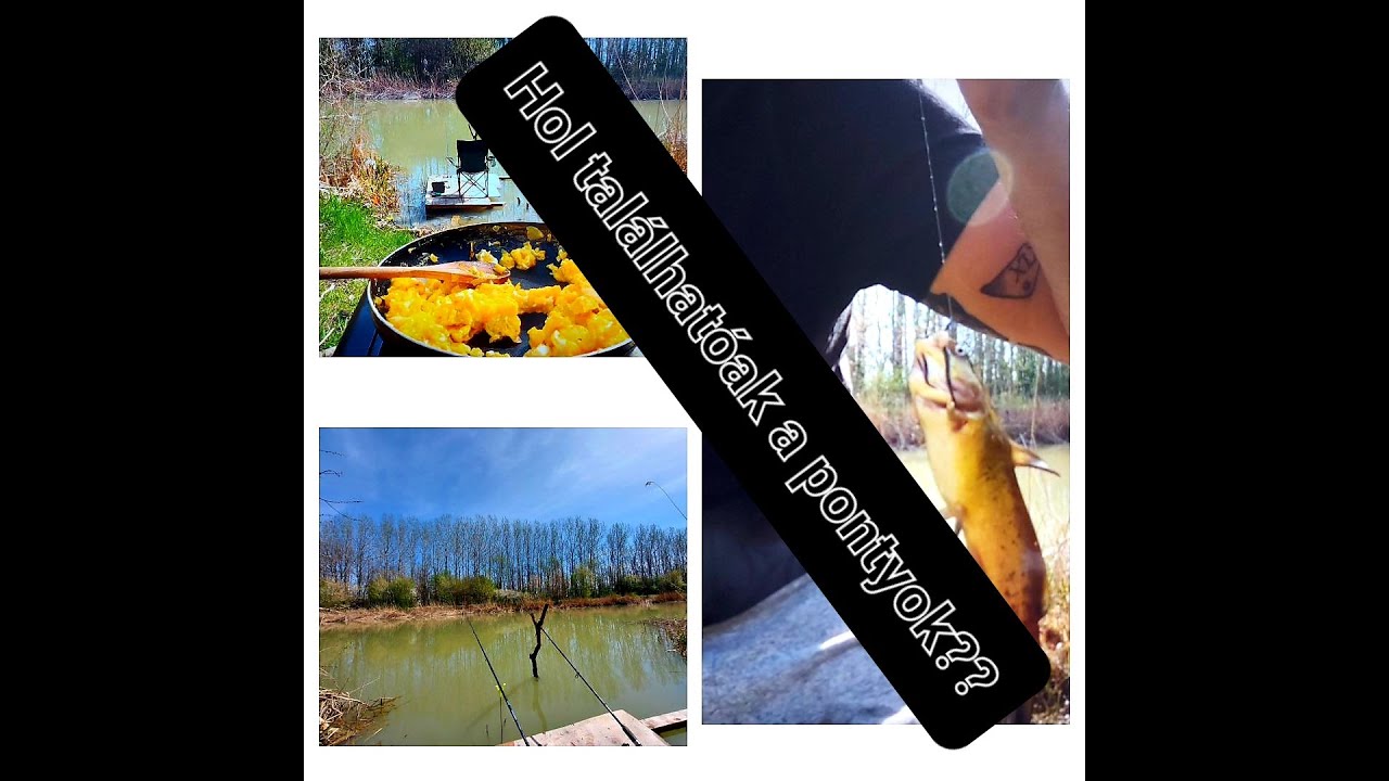 Telepített pontyok nyomában..A KELETI igazi arca.