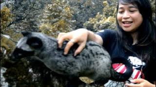 Theme song's by M2LC