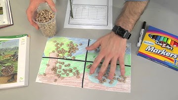 EXPLORE ACTIVITY -- 5.9 C: ENVIRONMENTAL CHANGES (Grade Level 5)