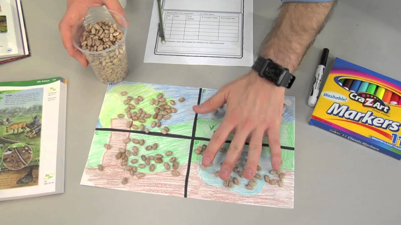 EXPLORE ACTIVITY -- 5.9 C: ENVIRONMENTAL CHANGES (Grade Level 5)