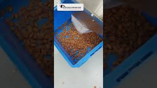 Yatay Badem Ayıklama Makinesi | Horizontal Almond Sorting Machine | Sortex Technology