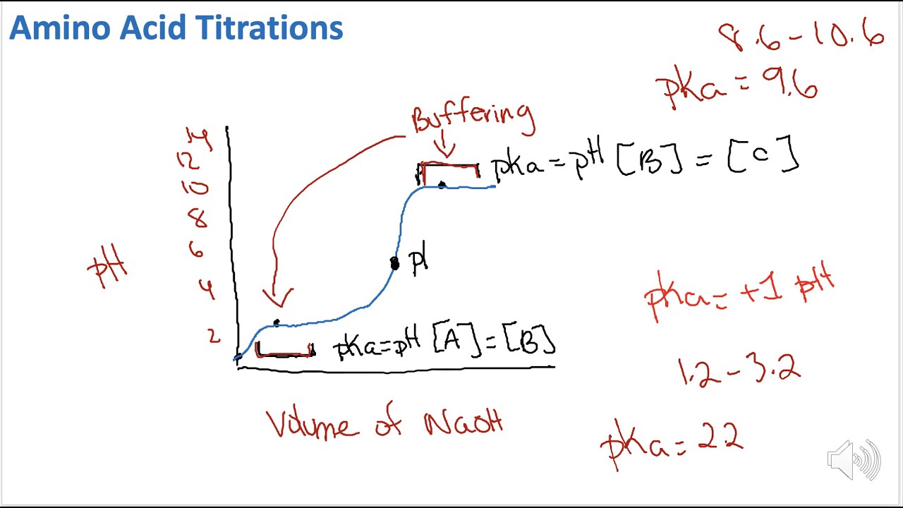 Amino Acid Titration Biochemistry YouTube