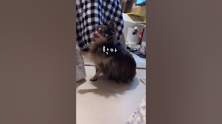 대환장 주세요파티 #꽁꽁이