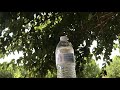 Slow motion shot