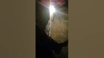 المنيا مركز ملوى قرية إبشادات 