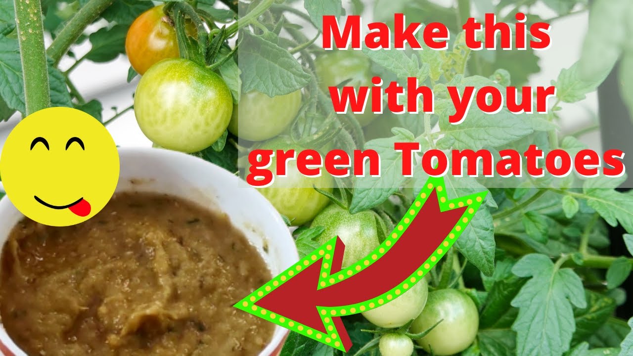 GREEN TOMATO AND CHILLI DIP YouTube