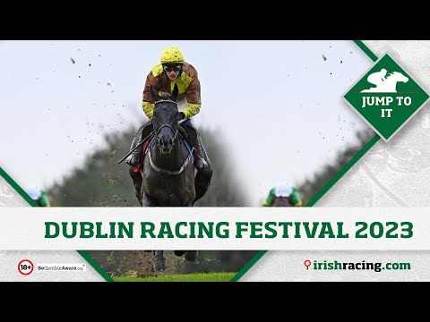 Dublin Racing Festival 2023 betting tips | Jump To It