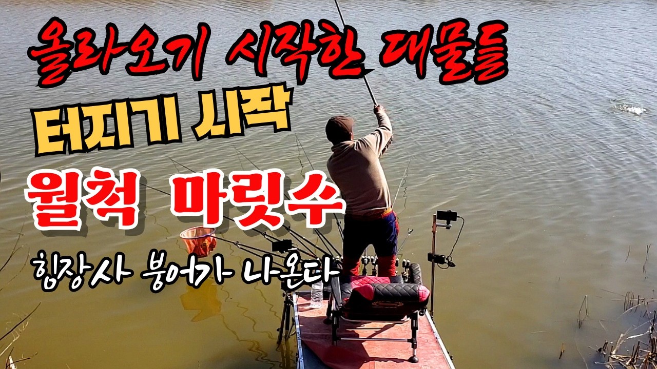 대물이 올라온다  터지기 시작 월척은 기본  힘이 장사여